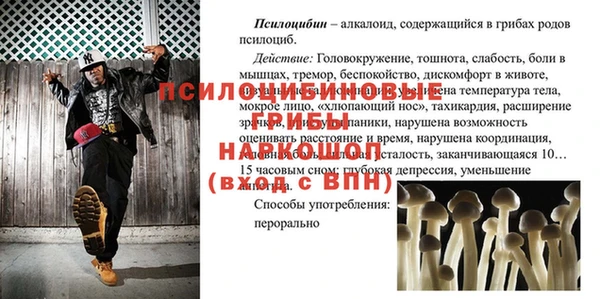 шишки Армянск