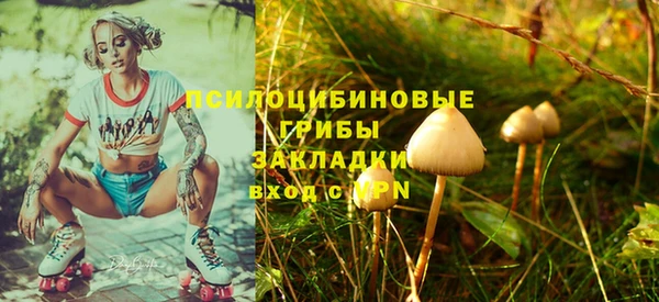 шишки Армянск
