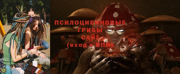 шишки Армянск